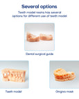 High Precision Dental PRO Model Resin for Dental lab