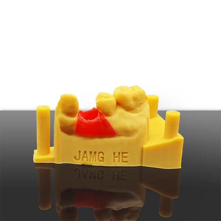 JAMGHE New Dental Gingiva Photopolymer Resin