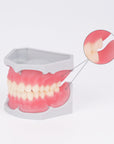 Denture Base Resin