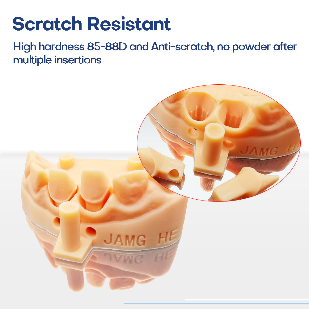 Dental Pro Model 3D Printer Resin