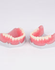 Denture Base Resin