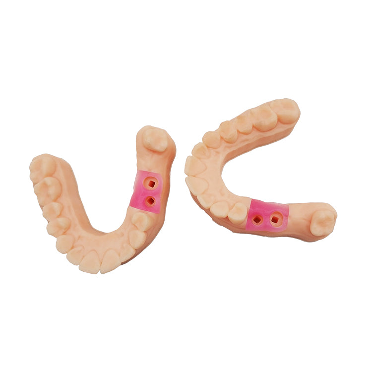 dental_prosthetic_resin