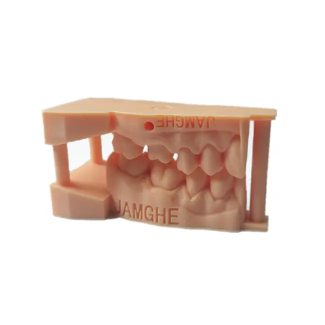 Dental Pro Model 3D Printer Resin