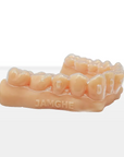 High Precision Dental Ortho Model Resin for 3D Printing